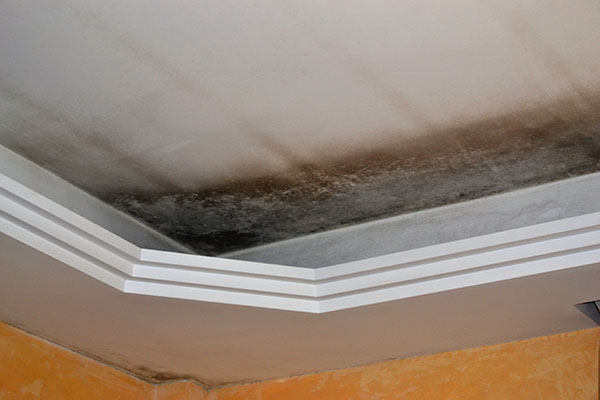 Elite Las Vegas Drywall Repair Las Vegas NV 89102